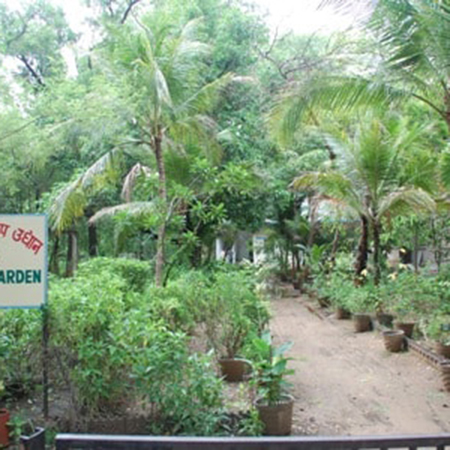 Herbal-Garden
